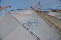 DSC_0524.jpg