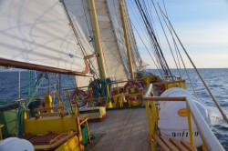 DSC_0590.jpg
