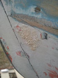 20130419_184027_male.JPG