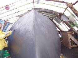 P10m Samanta Kasprzaka.jpg