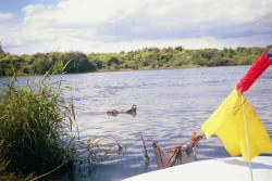 wisła040.jpg