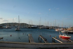 siros finikas.JPG