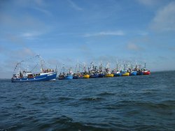 IMG_8033.jpg