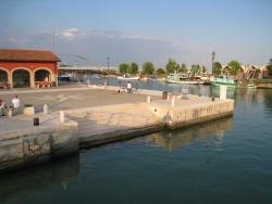 n3.jpg