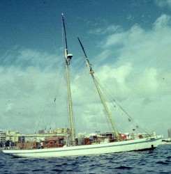 Zagadka 5.jpg