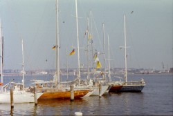 8508wars046.jpg
