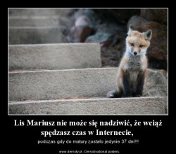 lis demot.jpg