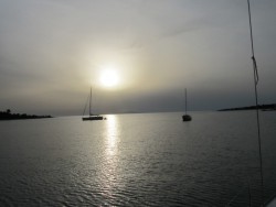IMG_1549.jpg