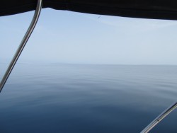 IMG_1594.jpg