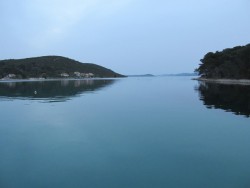 IMG_1616.jpg