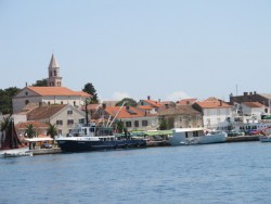 IMG_1666.jpg