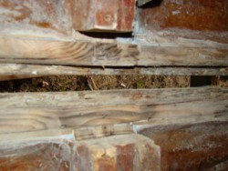 DSC06194-001.JPG