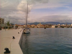 IMAG1008.jpg