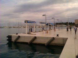 IMAG1009.jpg