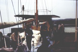 08.jpg
