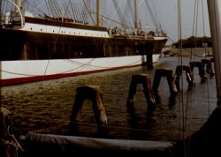 img111.jpg