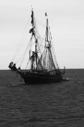 IMG_3685.jpg