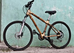 Bambo bike.jpg