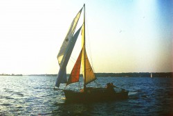 F1000008col.jpg