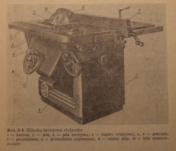 Tarczówka stolarska.jpg