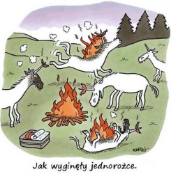 jednorozce.jpg