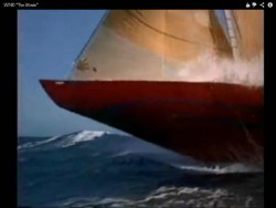Wind  ostry dziób.jpg