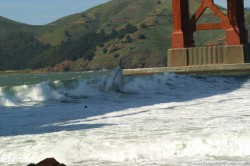 broaching_yacht_surf_5.jpg