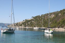 n5a.jpg