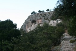 n5d.jpg