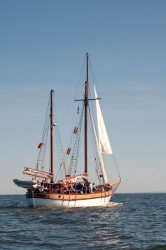 DSC_3959.JPG