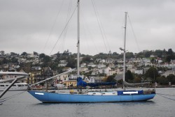 DSC_0699.JPG