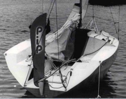 pip-550 rufa m.jpg
