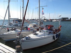 IMG_4688.JPG