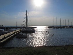 IMG_4691.JPG