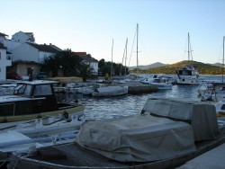 DSC01499.jpg