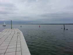 porcik.jpg