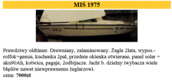 miś.png