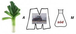 rebus_2.JPG
