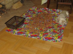 IMG_2863.JPG