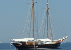 SAM_0980.JPG