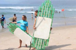 pet-surf.jpg