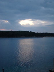 DSC06969.JPG