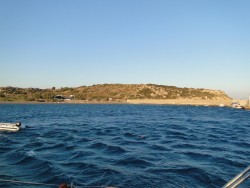 Plimmuri 2.JPG