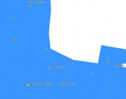 swina.jpg