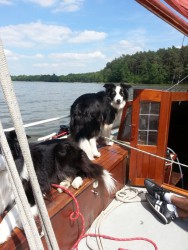 20130615_141719.jpg