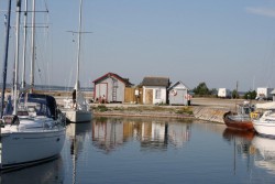 IMG_7686.jpg