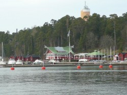 P1050176.jpg