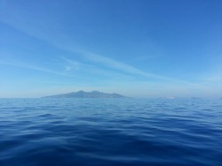 20131008_121142.jpg