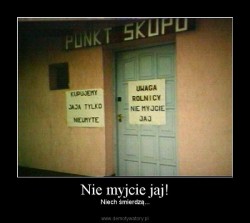niemyjcie.jpg