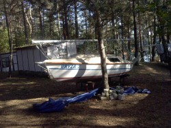 CAM01623.jpg